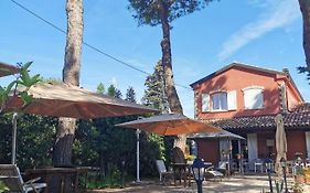B&B Parco degli Ulivi